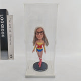 Acrylic display case