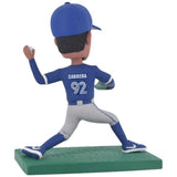 Blue Jays Baseball Bobblehead Custom from photo